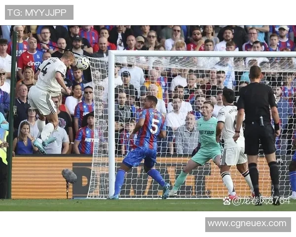 2019年2月7日水晶宫主场迎战曼联精彩对决回顾与赛后分析 2019年2月7日水晶宫主场迎战曼联精彩对决回顾与赛后分析