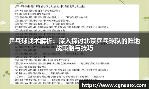 乒乓球战术解析：深入探讨北京乒乓球队的阵地战策略与技巧